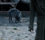 1x03_0586.jpg