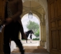 Filename=1x03_0834.jpg
Filesize=181KiB
Dimensions=1920x960
Date added=Sep 28, 2021 1x03_0834.jpg