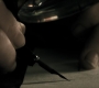 1x03_0952.jpg