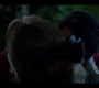 1x04_0759.jpg