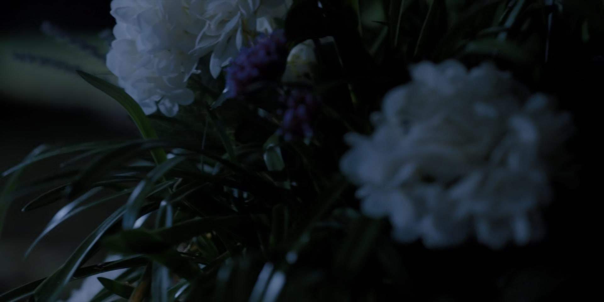 1x05_0537.jpg