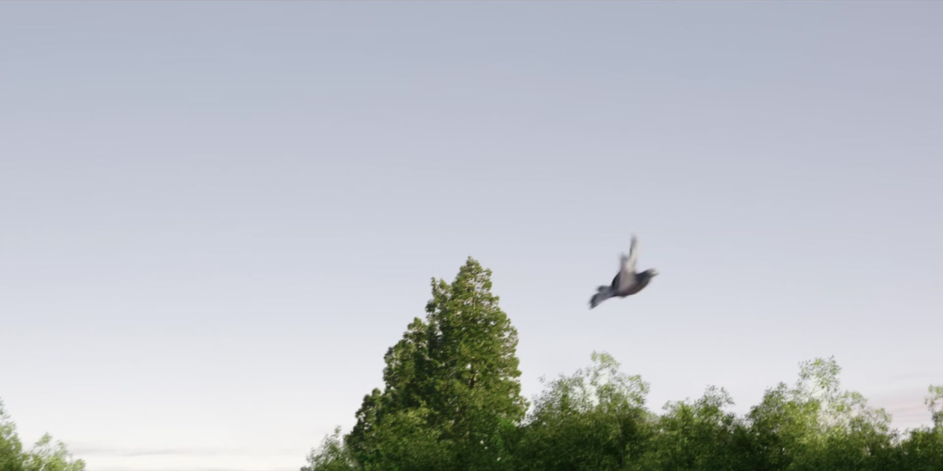 1x07_0024.jpg