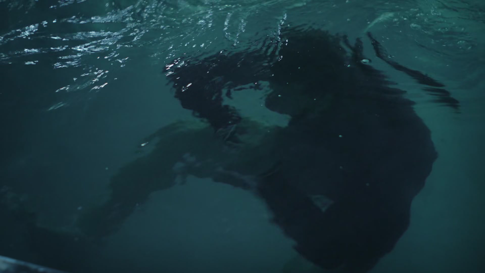 kai1x03_234.jpg