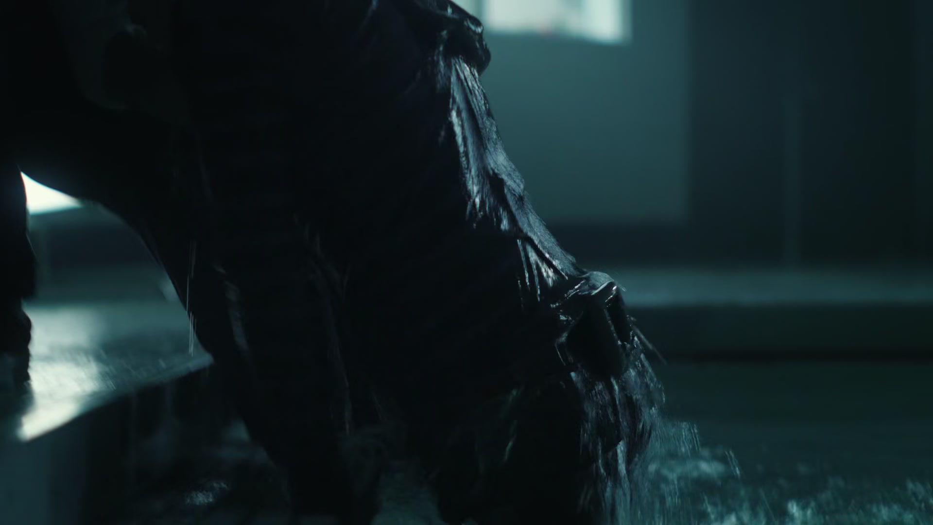 kai1x03_261.jpg