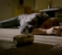 Filename=kai1x04_183.jpg
Filesize=139KiB
Dimensions=1920x1080
Date added=Sep 28, 2021 kai1x04_183.jpg