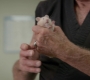 kai_3x02_170.jpg