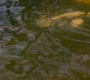 Cobra_Kai_4x03_0232.jpg