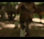 1x07_0286.jpg