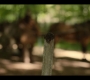 1x07_0288.jpg