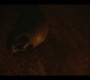 1x07_0295.jpg