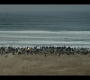 Filename=1x10_1025.jpg
Filesize=275KiB
Dimensions=1920x1080
Date added=Sep 28, 2021 1x10_1025.jpg