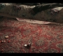 Filename=Dark_Desire_S01E17_1359.jpg
Filesize=368KiB
Dimensions=1920x1080
Date added=Sep 28, 2021 Dark_Desire_S01E17_1359.jpg