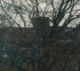 HOTN101_0182.jpg