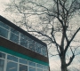 HOTN102_0371.jpg