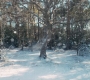 HOTN102_0693.jpg