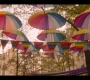 HOTN206_0554.jpg