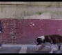 Love_101_01x01_1295.jpg