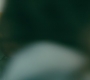 A_0763.jpg