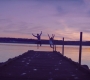 The_Last_Summer_4295.jpg