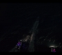 OBX10_1237.jpg