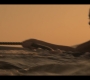 OBX10_1450.jpg