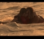 OBX10_1453.jpg
