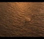 OBX10_1457.jpg