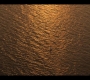 OBX10_1458.jpg
