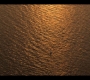 OBX10_1459.jpg