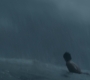 OuterBanks00239.jpg
