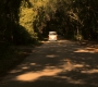 OuterBanks_00118.jpg