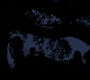 1x03_1393.jpg