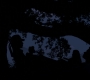 1x03_1396.jpg