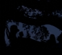 1x03_1405.jpg