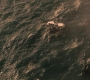 1x04_0014.jpg