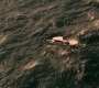 1x04_0015.jpg