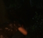 1x05_0885.jpg