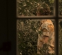 1x07_0013.jpg