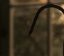 1x07_0029.jpg