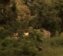 1x07_0201.jpg