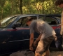 1x07_0296.jpg