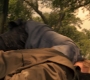 1x07_0647.jpg