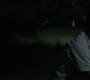 1x07_0993.jpg