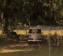 Filename=1x08_1278.jpg
Filesize=500KiB
Dimensions=1920x960
Date added=Sep 29, 2021 1x08_1278.jpg