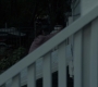1x09_0794.jpg