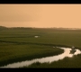OuterBanks204_0472.jpg