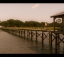 OuterBanks204_0585.jpg