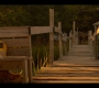 OuterBanks204_0968.jpg