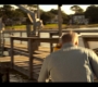 OuterBanks208_0744.jpg
