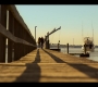 OuterBanks208_0807.jpg